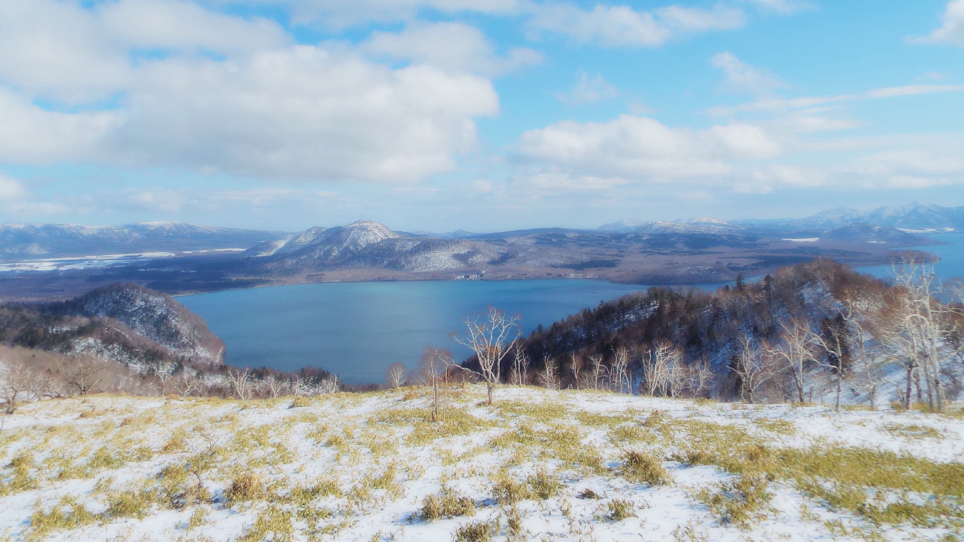 スタッフ（マスク無）